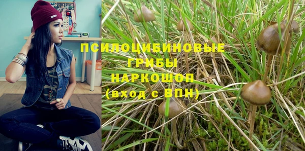 амфетамин Белокуриха
