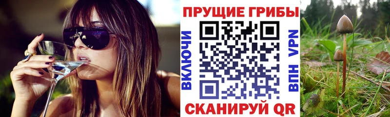 закладки  Малмыж  Псилоцибиновые грибы мухоморы 